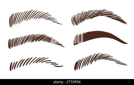 Verschiedene Symbole für weibliche Augenbrauen eingestellt. Make-up-Augenbrauen Stock Vektor