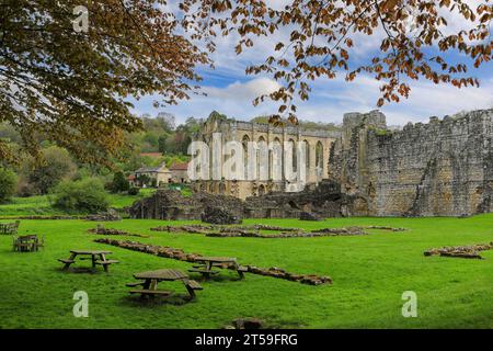 Ruinen der Rievaulx Abbey, Rievaulx, nahe Helmsley, im North York Moors National Park, North Yorkshire, England, Großbritannien Stockfoto