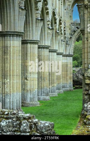 Ruinen der Rievaulx Abbey, Rievaulx, nahe Helmsley, im North York Moors National Park, North Yorkshire, England, Großbritannien Stockfoto