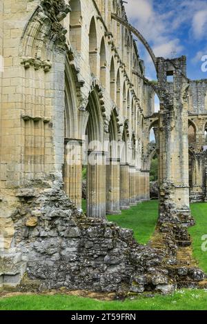 Ruinen der Rievaulx Abbey, Rievaulx, nahe Helmsley, im North York Moors National Park, North Yorkshire, England, Großbritannien Stockfoto