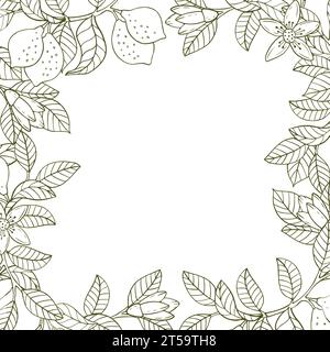 Eine Grenze aus Zitronenzweigen und Zitronen. Eine Komposition von Zitrusfrüchten im grafischen Stil. Vektorillustration auf weißem Hintergrund isoliert Stock Vektor