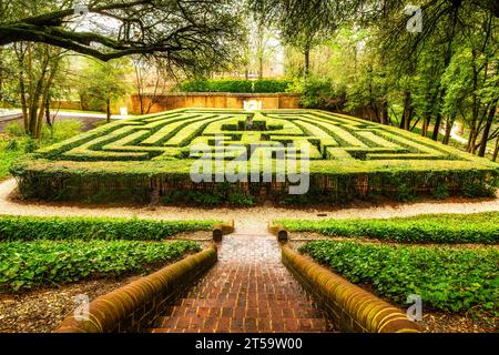 Hecken-Labyrinth in Colonial Williamsburg, Virginia Stockfoto