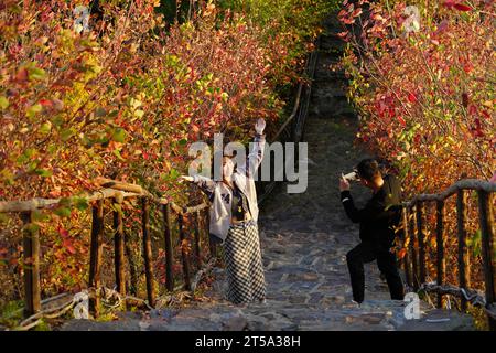 Peking, China. Oktober 2023. Dieses Foto, aufgenommen am 27. Oktober 2023, zeigt einen Besucher, der für ein Foto an einem malerischen Ort im Luquan District in Shijiazhuang, der nordchinesischen Provinz Hebei, posiert. Quelle: Yan Zhiguo/Xinhua/Alamy Live News Stockfoto