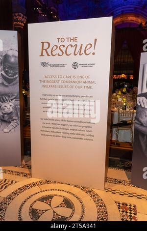 New York, Usa. November 2023. NEW YORK, NEW YORK - 3. NOVEMBER: Schild im The Humane Society's to the Rescue! Gala in der Cipriani 42nd Street am 03. November 2023 in New York City. Quelle: Ron Adar/Alamy Live News Stockfoto