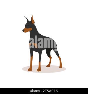 Kluger, seriöser schwarzer Doberman. Hundeentnahme. Vektor-Illustration von niedlichen Rassen Hunden in trendiger flacher Art Stock Vektor