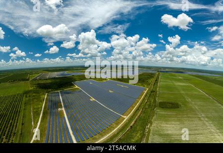 Luftaufnahme eines großen nachhaltigen Elektrokraftwerks mit vielen Reihen von Photovoltaik-Solarzellen zur Erzeugung sauberer elektrischer Energie. Erneuerbar Stockfoto