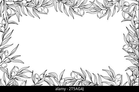 Skizzenrahmen aus Olivenzweig mit Beeren und Blättern. Handgezeichnete Vektorlinie Illustration. Schwarz-weiße Zeichnung des Symbols Italiens oder Griechenlands Stock Vektor