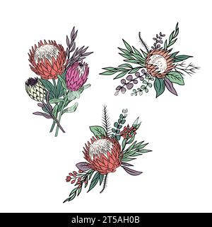 Colorful tropical protea flowers and leaves bouquets set Stock Vector
