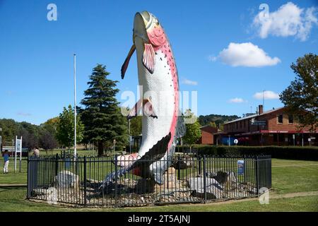 Adaminaby, New South Wales, Australien, 20. April 2023, ein Modell, das Oncorhynchus mykiss oder Regenbogenforellen zeigt, wie sie aus dem Wasser springen Stockfoto