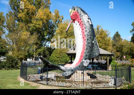 Adaminaby, New South Wales, Australien, 20. April 2023, ein Modell, das Oncorhynchus mykiss oder Regenbogenforellen zeigt, wie sie aus dem Wasser springen Stockfoto