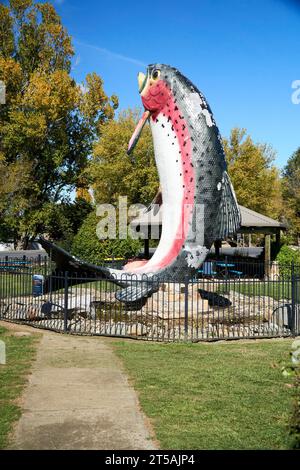 Adaminaby, New South Wales, Australien, 20. April 2023, ein Modell, das Oncorhynchus mykiss oder Regenbogenforellen zeigt, wie sie aus dem Wasser springen Stockfoto