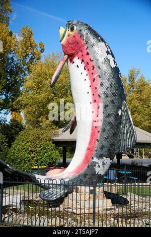 Adaminaby, New South Wales, Australien, 20. April 2023, ein Modell, das Oncorhynchus mykiss oder Regenbogenforellen zeigt, wie sie aus dem Wasser springen Stockfoto