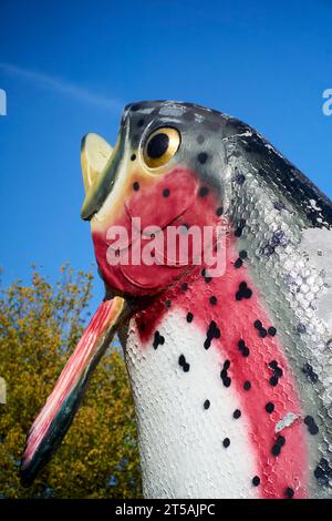 Adaminaby, New South Wales, Australien, 20. April 2023, ein Modell, das Oncorhynchus mykiss oder Regenbogenforellen zeigt, wie sie aus dem Wasser springen Stockfoto