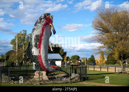 Adaminaby, New South Wales, Australien, 20. April 2023, ein Modell, das Oncorhynchus mykiss oder Regenbogenforellen zeigt, wie sie aus dem Wasser springen Stockfoto