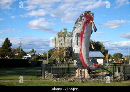 Adaminaby, New South Wales, Australien, 20. April 2023, ein Modell, das Oncorhynchus mykiss oder Regenbogenforellen zeigt, wie sie aus dem Wasser springen Stockfoto