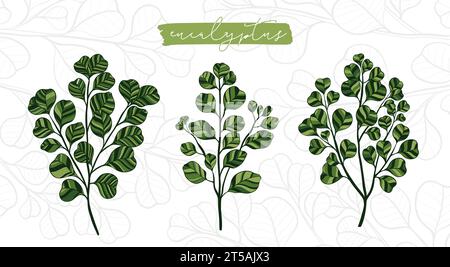 Eukalyptuspflanzenzweig isoliert auf weißem Hintergrund. Botanische Heilung Eukalyptus handgezeichneter Stil. Stock Vektor