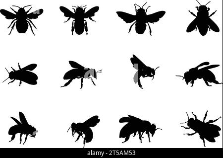 Honigbienen-Silhouette, Honigbienen-Silhouetten, Bienen-Silhouetten, Fliegende Bienen-Silhouette, Honigbienen-Ikone, Bienenvektor-Illustration Stock Vektor