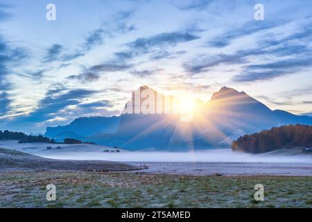 Schönen Morgen Licht über dem Langkofel Berggipfel, Seiser Alm, Italien, Europa Stockfoto