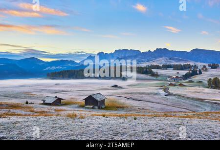 Schönen Morgen Licht über dem Langkofel Berggipfel, Seiser Alm, Italien, Europa Stockfoto