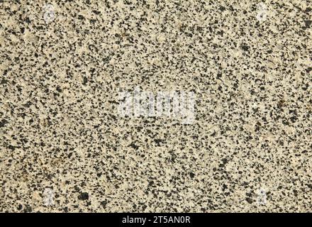 Grauer, gepunkteter Granit, Textur, Hintergrund. Ein vielseitiger, gefleckter Hintergrund aus grauer Granitwand, durchsetzt mit Schwarz. Die gelbliche Steinfläche Stockfoto