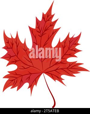 Rotes Herbstahornblatt. Isoliertes kanadisches Ahornblatt-Symbol. Zeichentrickstil. Vektor-Symbol für den botanischen Wald. Stock Vektor