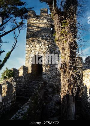 Mittelalterliches Castelo dos Mouros, auch bekannt als Schloss der Mauren in Sintra, Portugal. Wachturm und Verteidigungsmauer Stockfoto