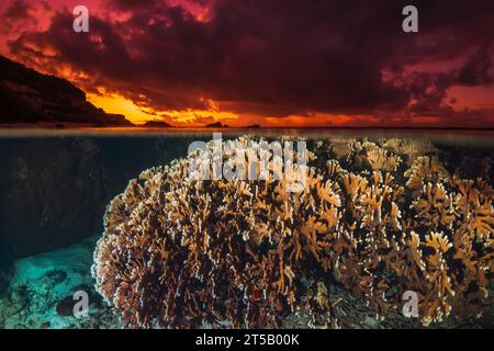 Tropische Meereslandschaft mit Korallenriff unter Wasser und farbenfrohen hellen Sonnenuntergang oder Sonnenaufgang, geteilter Blick über die Wasseroberfläche in Französisch-Polynesien, Ozeanien Stockfoto
