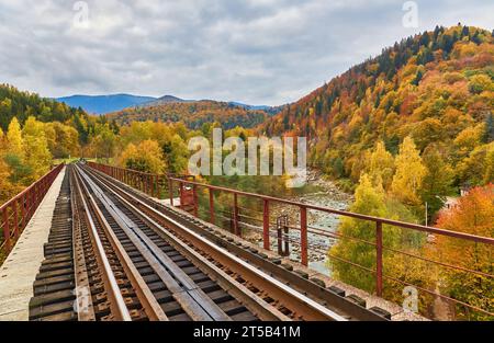 Blick auf die Eisenbahnbrücke über dem Fluss Prut. Beauteful Herbst in Karpaten, Jaremche, Ukraine Stockfoto