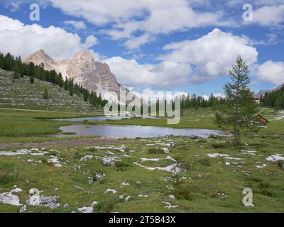 Le Vert See in der Nähe der Lavarella Hütte im Grünen des Naturparks Fanes - Sennes - Prags, Alpi, Italien. Stockfoto