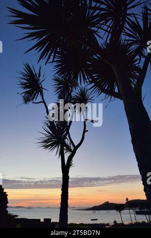 Sonnenuntergang / Sonnenaufgang über dem Blockhaus, Old Grimsby Blick durch die Palmen Tresco. Die Inseln von Scilly. Cornwall. England. UK Stockfoto