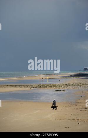 Ein älterer Mann wandert mit schwarzem Hund am Sandstrand westlich von runton, norfolk england Stockfoto