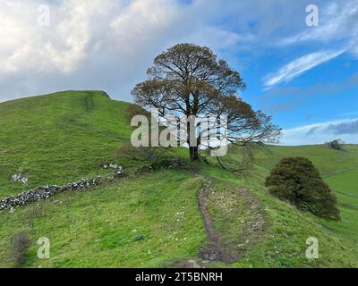 Wunderschönes Landschaftsbild von Chrome Hill im Peak District National Park in Großbritannien während des wunderschönen Herbsttages Stockfoto