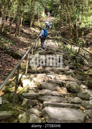 Japan, Kyushu. Klettern Sie die Teufelstreppe nach Kumano Magaibutsu, buddhistische Steinmauer Reliefschnitzereien aus dem 8. Jahrhundert. Kunisaki-Halbinsel. Stockfoto