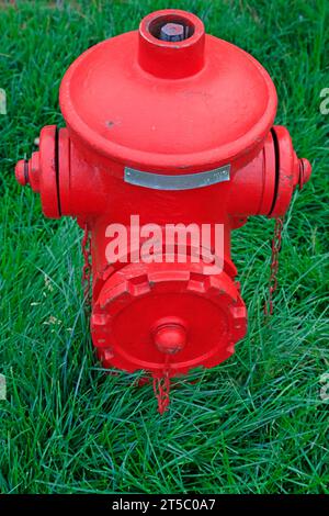 Auf dem Rasen befindet sich ein roter Hydrant Stockfoto