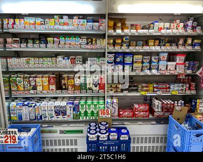 Japan, Kyushu, Imi. Kleines Lebensmittelgeschäft, Milch, Saft und nicht-Milchprodukte. Stockfoto