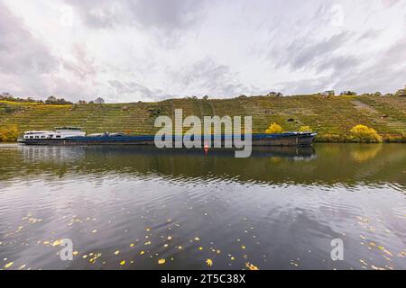 Frachtschiff auf dem Neckar bei Stuttgart-Hofen. // 03.11.2023, Stuttgart, Baden-Württemberg, Deutschland, Europa *** Frachtschiff auf dem Neckar bei Stuttgart Hofen 03 11 2023, Stuttgart, Baden-Württemberg, Deutschland, Europa Stockfoto