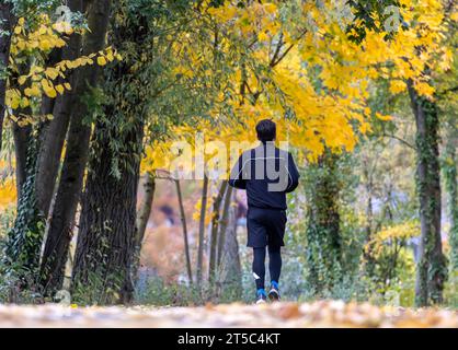 Herbst im Neckartal in Stuttgart. // 03.11.2023, Stuttgart, Baden-Württemberg, Deutschland, Europa *** Herbst im Neckartal in Stuttgart 03 11 2023, Stuttgart, Baden Württemberg, Deutschland, Europa Credit: Imago/Alamy Live News Stockfoto