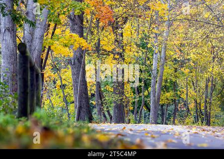 Herbst im Neckartal in Stuttgart. // 03.11.2023, Stuttgart, Baden-Württemberg, Deutschland, Europa *** Herbst im Neckartal in Stuttgart 03 11 2023, Stuttgart, Baden Württemberg, Deutschland, Europa Credit: Imago/Alamy Live News Stockfoto