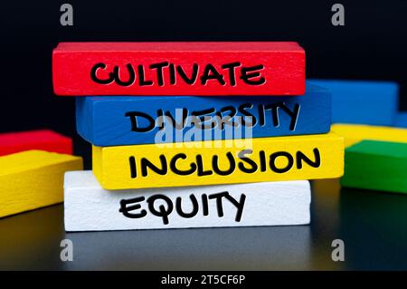 Pflegen Sie Vielfalt, Einbeziehung und Gerechtigkeit auf bunten Holzblöcken. Respekt- und Diversitätskonzept. Stockfoto