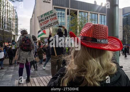 Cardiff, Wales. UK. November 2023. Pro-palästinensische marsch durch das Stadtzentrum von Cardiff am Rugby-Spieltag, Wales gegen Barbarians, Cardiff, Wales. UK. Quelle: Haydn Denman/Alamy Live News. Stockfoto