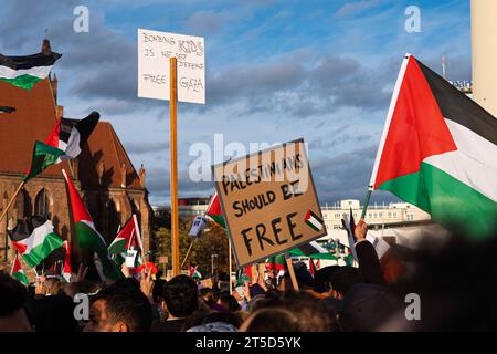 Berlin, Deutschland - 4. November: Zeichen für die Demonstration der Freien Palästinenser in Berlin Stockfoto