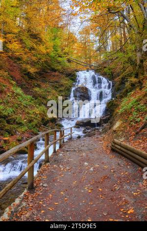 Tauchen Sie ein in die faszinierende Schönheit des Shipit Wasserfalls während der bezaubernden Herbstsaison. Spüren Sie den berauschenden Rauschen der kaskadierenden Gewässer ami Stockfoto