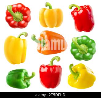 Sammlung von mehrfarbigen Paprika (rot, grün, gelb, orange), isoliert auf weißem Hintergrund Stockfoto