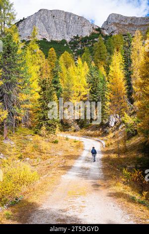 Wanderer auf einem Wanderweg in den Dolomiten Stockfoto