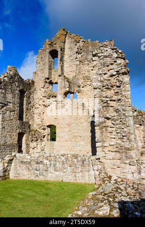 Kildrummy Castle (13. Jahrhundert), Aberdeenshire, Schottland, Vereinigtes Königreich. Der Elphinstone Tower. Stockfoto