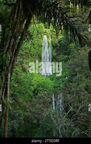 Sendang Gile Wasserfall in Senaru, Nord-Lombok, Indonesien Stockfoto