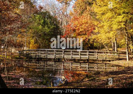 Eine Holzbrücke überspannt einen stillstehenden See, umgeben von Bäumen in herbstlicher Farbe mit rot-gelben und grünen Blättern über dem reflektierenden Teich Stockfoto