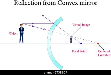 Die Reflexion von konvexen und konkaven Spiegeln, Reflexion und kugelförmigen Spiegeln , Optik.Vektor-Illustration. Stock Vektor