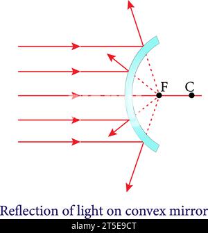 Die Reflexion von konvexen und konkaven Spiegeln, Reflexion und kugelförmigen Spiegeln , Optik.Vektor-Illustration. Stock Vektor