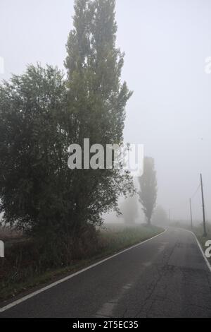 Enge Straße, die von ein paar Bäumen und Gräben mit Wehren an einem nebeligen Tag in der italienischen Landschaft begrenzt wird Stockfoto